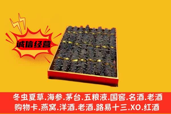 阿勒泰布尔津县回收海参